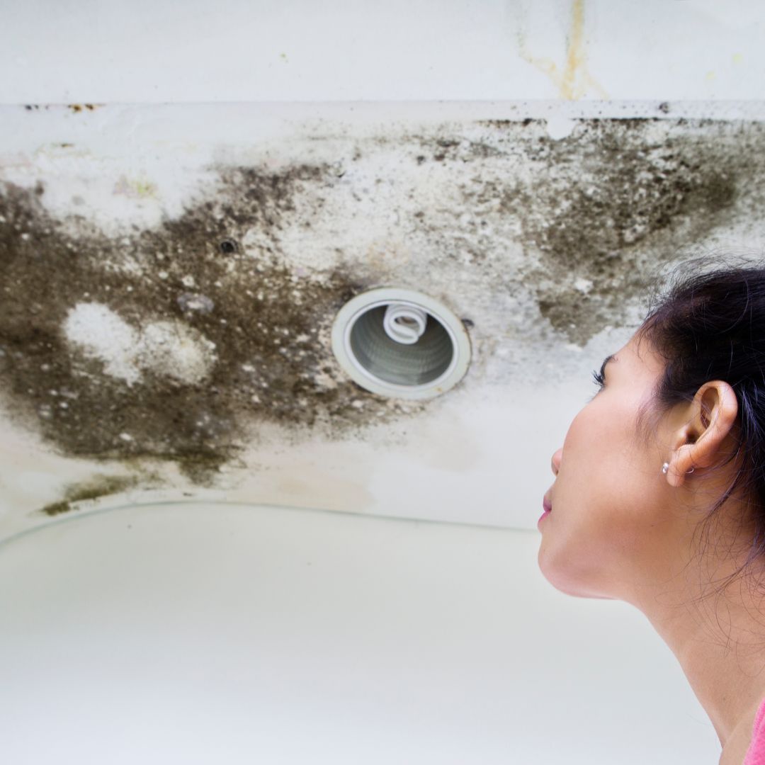 Woman looking at mold growing on ceiling